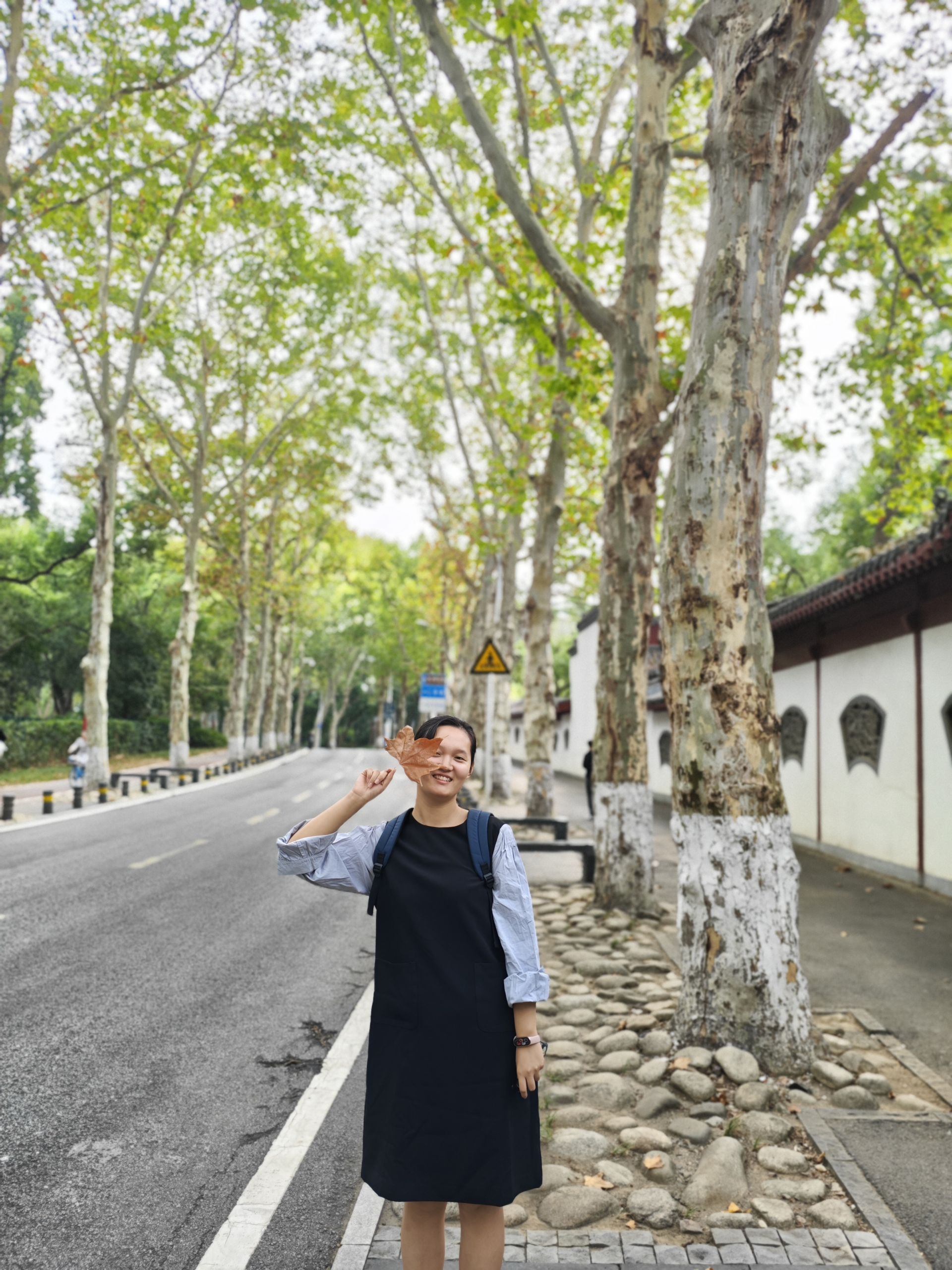 赵一帆
