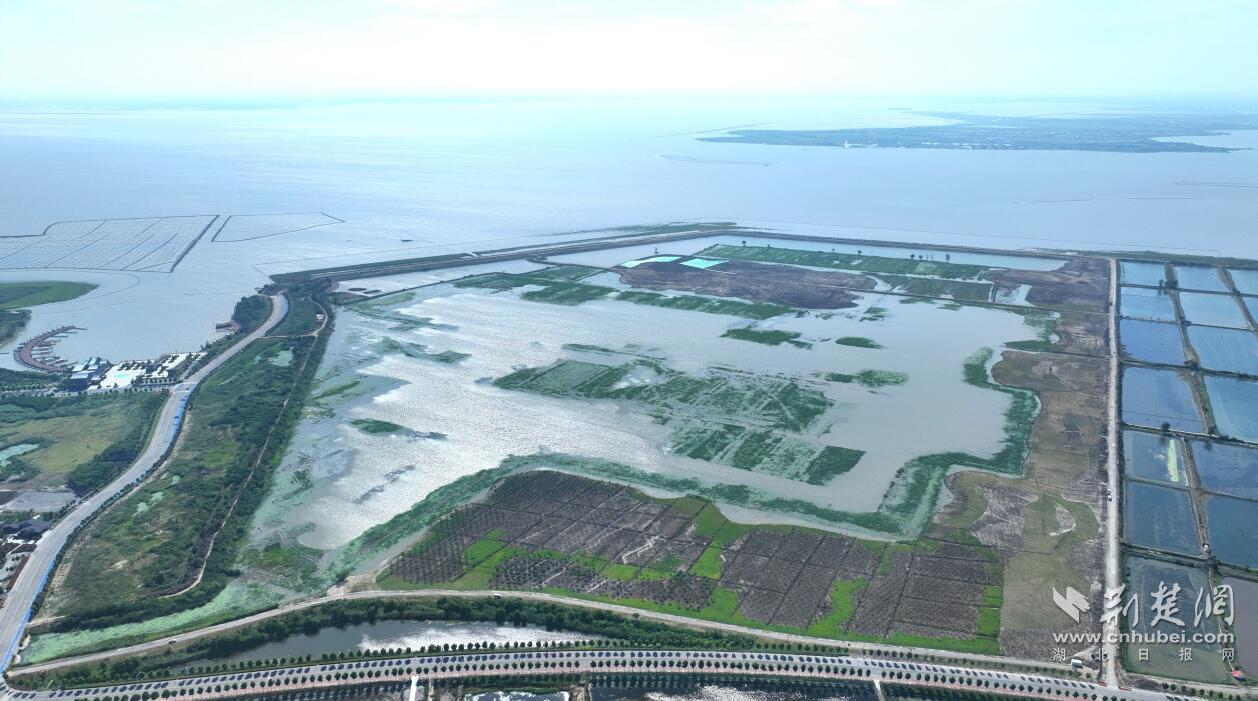 QQ截图20250516122844.jpg