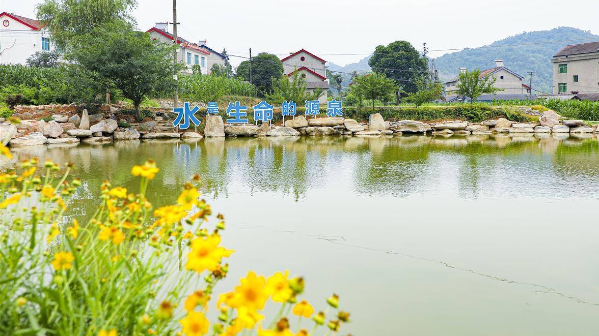 宜都“三權(quán)分置”激活沉睡堰塘
