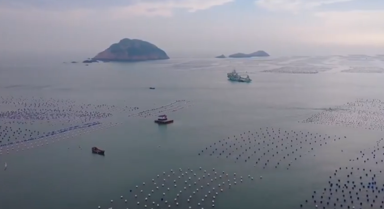 航拍海上牧场太壮观