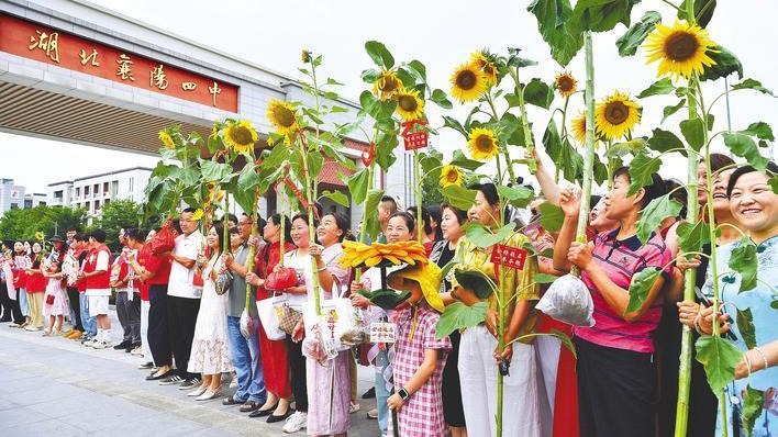 葵花绽放襄阳城