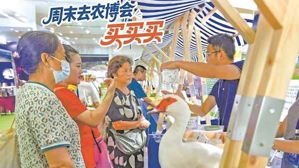周末去农博会 买买买