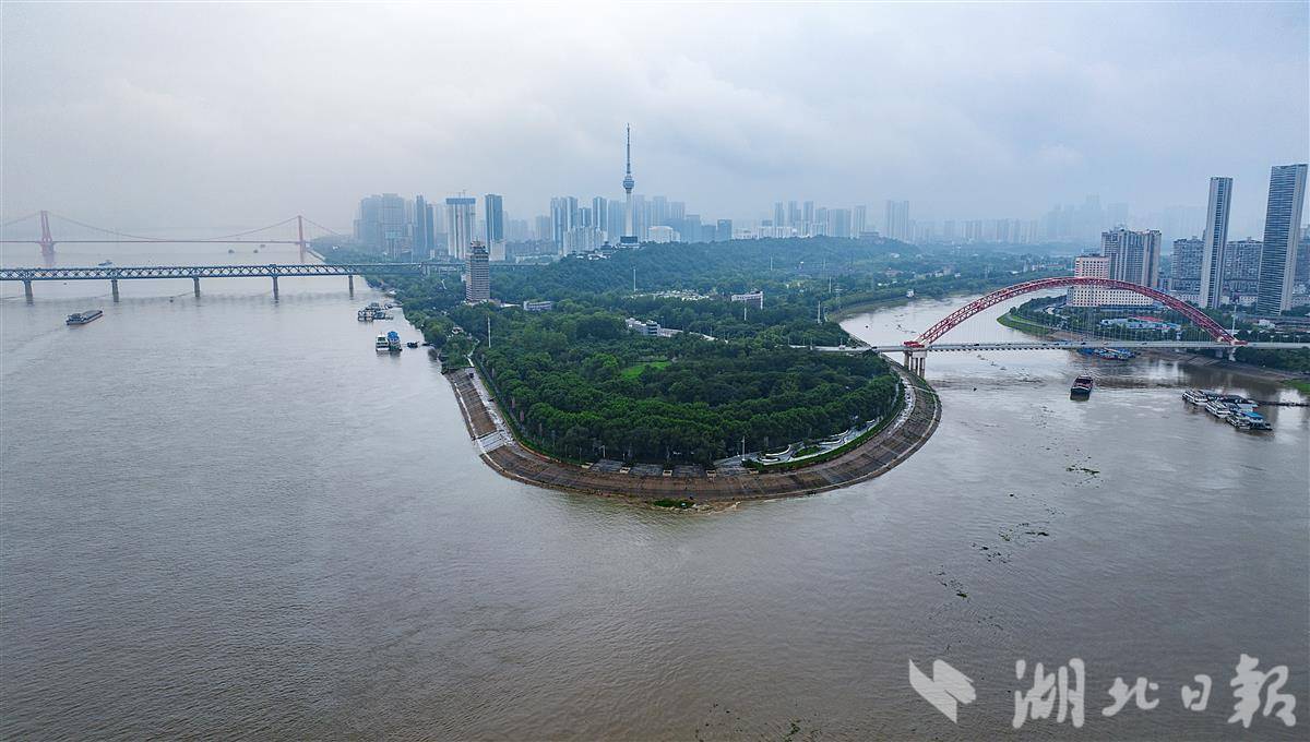 受近期強降雨影響，長江水位迅速上漲