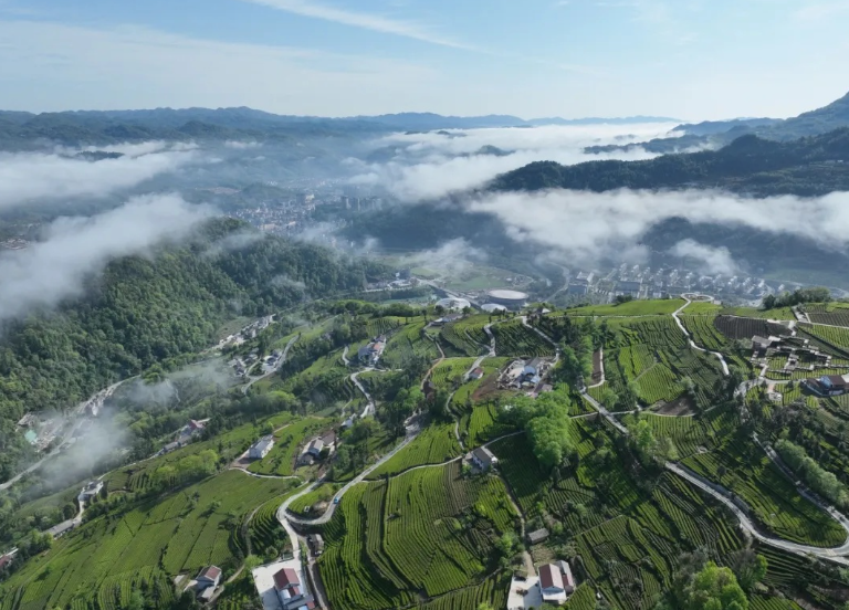 湖北首个！国家级文化生态保护区！