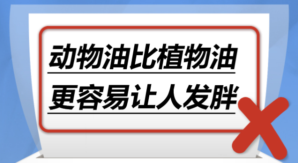 动物油比植物油更容易让人发胖……是真是假？