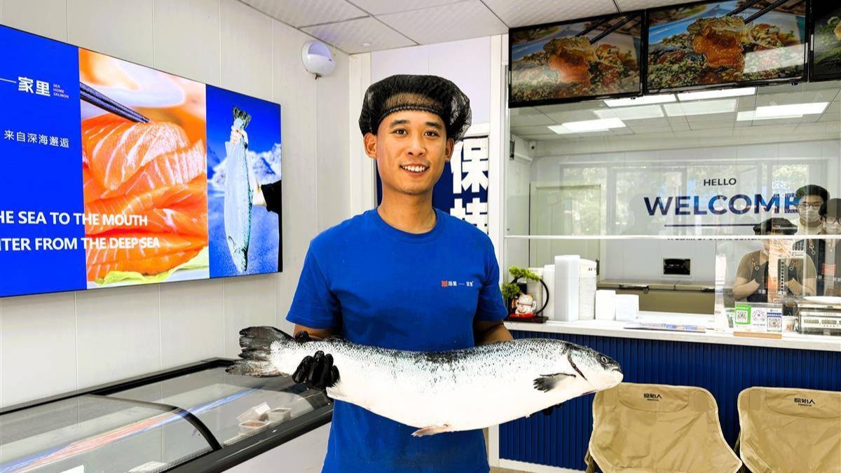 挪威三文魚10小時“飛”上鄂州餐桌