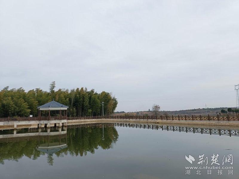 黄梅Xiaxin Town坚持开放式教