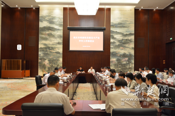 Beidou的行业由Wuhan Speed运营，预计到今年年底将超过800亿元人民币。