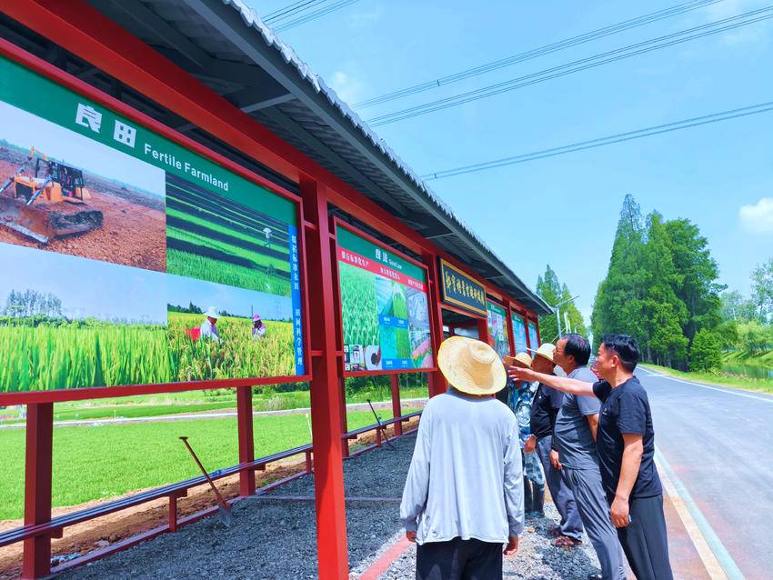 孝感首个糯稻科普长廊在朱湖建成