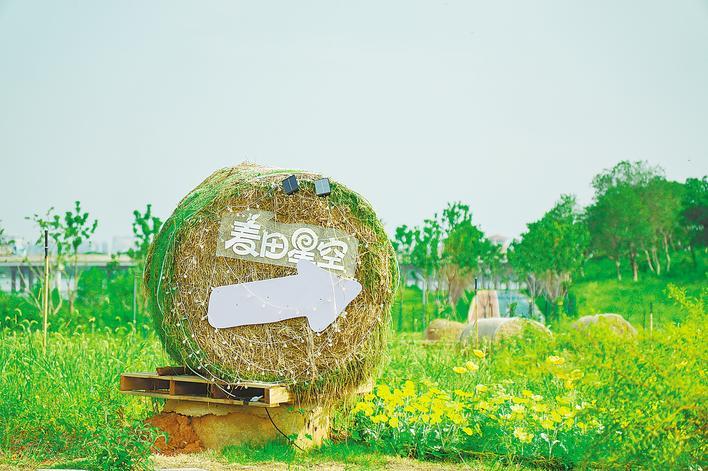 荒地蝶變奏響田園牧歌