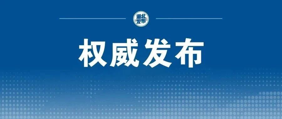 刚刚，2025年武汉民办中小学报名办法公布