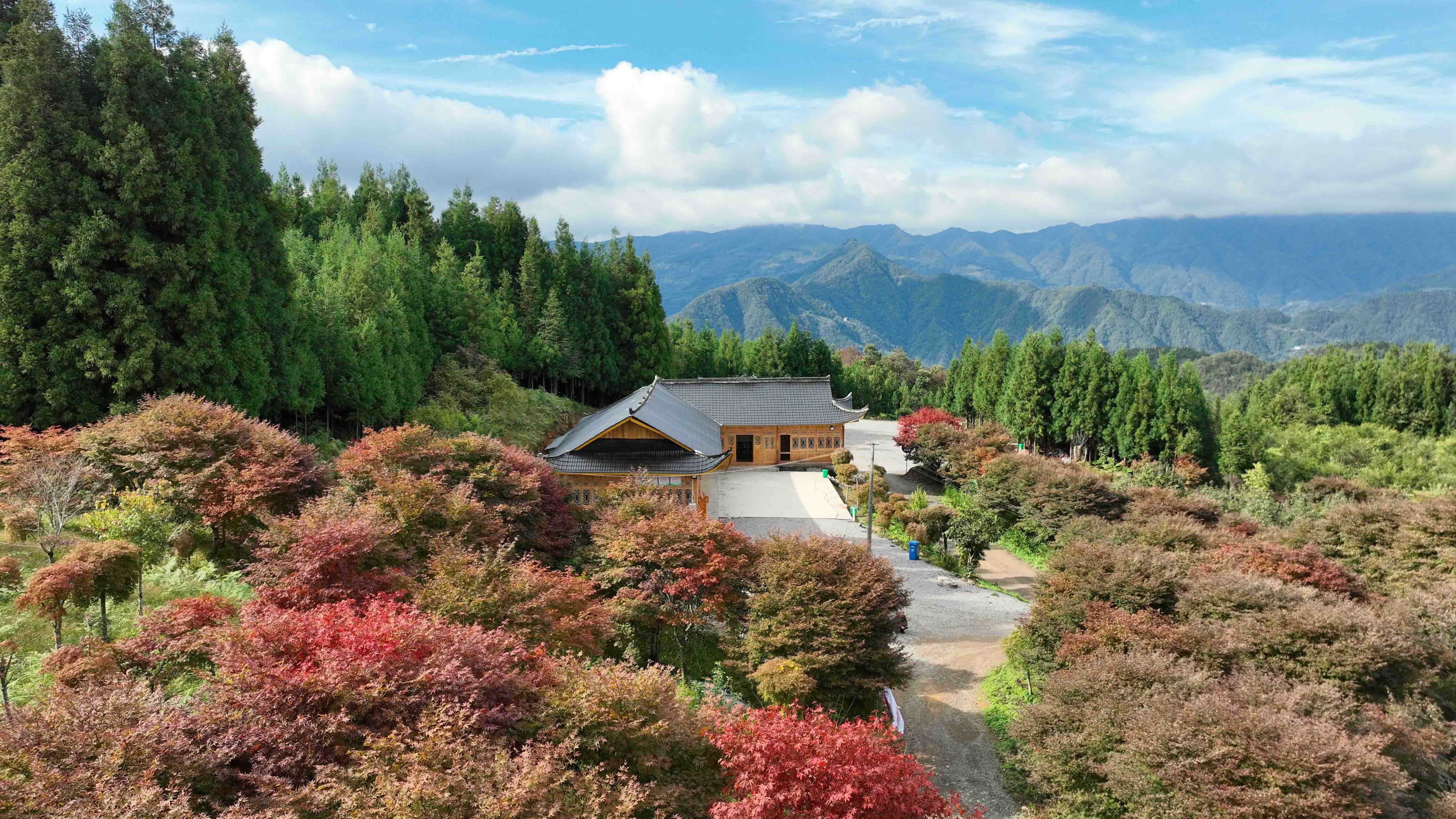 鹤峰：红枫漫林间 夏日纳凉天