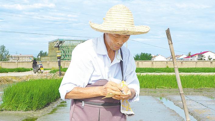 “三白”專家湯儉民：只為稻米香天下