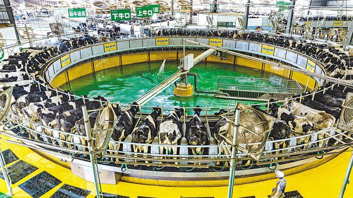 南漳打造“智慧牧場”