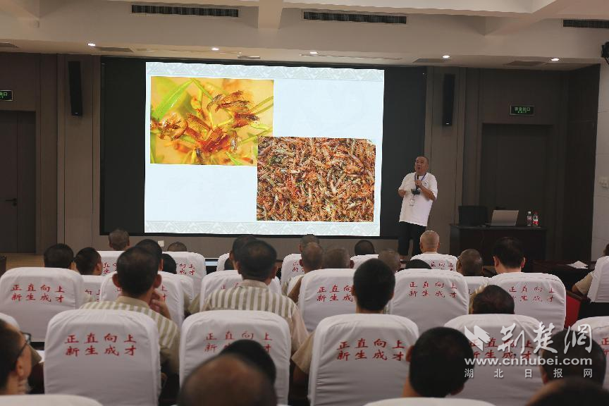 &#28246;&#21271;&#30465;&#20892;&#31185;&#38498;&#19987;&#23478;&#21463;&#26354;&#25238;&#30828;&#33394;&#24773;&#32593;&#38742;&#33394;&#24773;&#22312;&#20160;&#20040;&#22320;&#28857;&#36992;&#36827;&#27801;&#27915;&#24191;&#21326;&#30417;&#29425;&#23637;&#24320;&#23567;&#40857;&#34430;&#39282;&#20859;&#35757;&#32451;