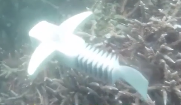 深海游魚竟是新型機器人