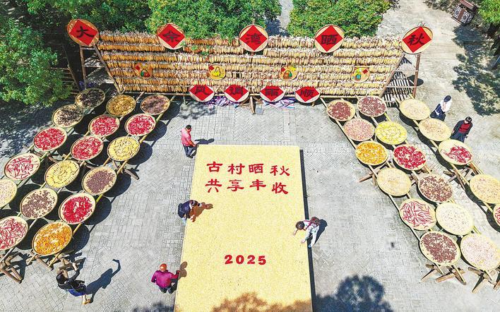 古村曬秋共享豐收