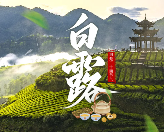 今日白露：清露一盏送秋来