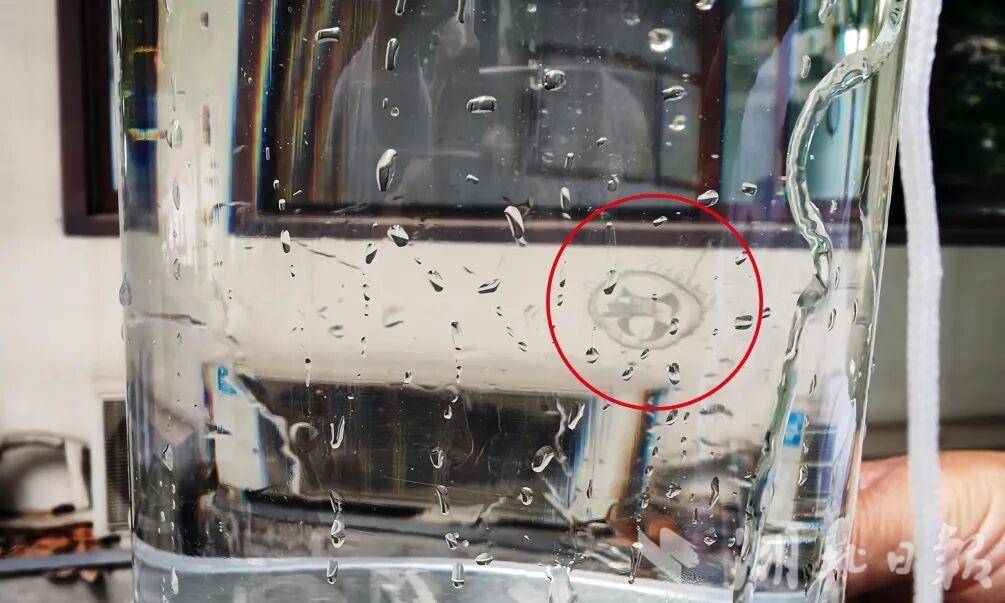武漢中心城區(qū)湖泊驚現(xiàn)“水中大熊貓”