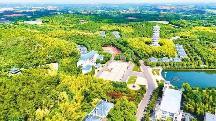先富帮后富 家家户户住别墅