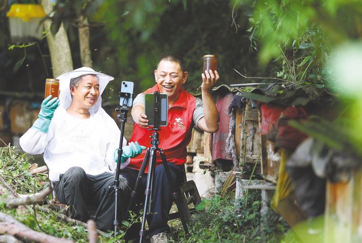 黨員“云端”架橋山珍香飄四方