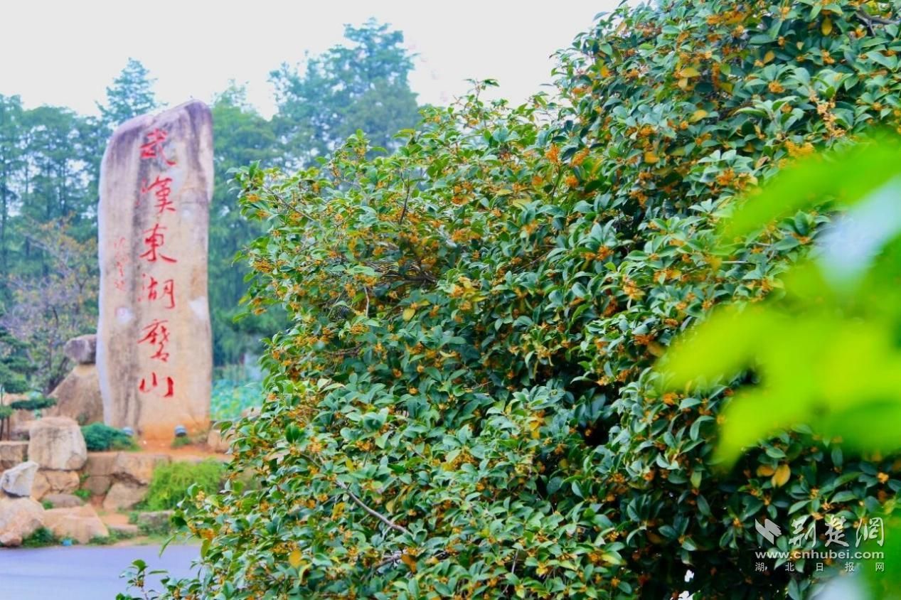 国庆游磨山：荆风楚韵里的山水微度假