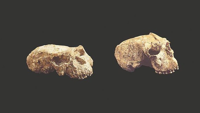 “郧县人”竟是100万年前的龙人