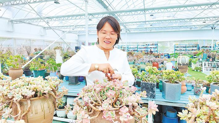 摆摊姑娘建起她的“多肉王国”
