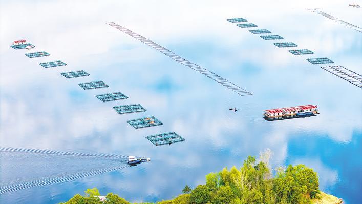 生態(tài)養(yǎng)殖繪就鄉(xiāng)村新豐景