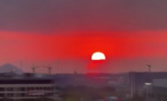 请查收这束来自天空的温柔