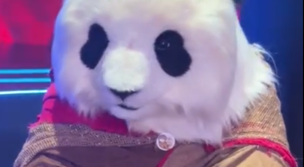 大熊猫机器人真的来了
