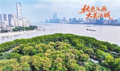 秋色入畫 大美江城