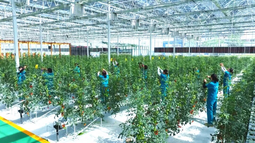 “田園”變“樂園”，就在孝感這里→