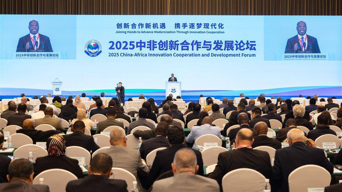 2025中非创新合作与发展论坛在武汉开幕