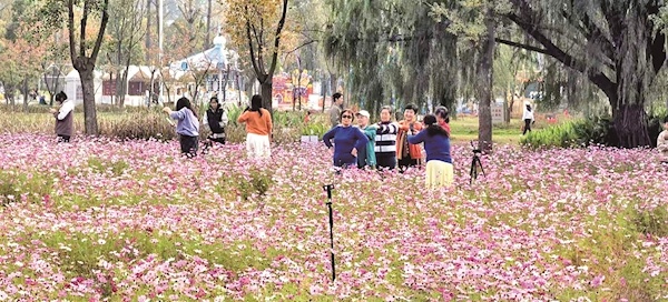 昔日战场“水淹七军”今朝变身浪漫花海