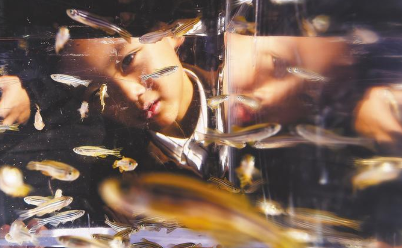 武汉植物园科普嘉年华