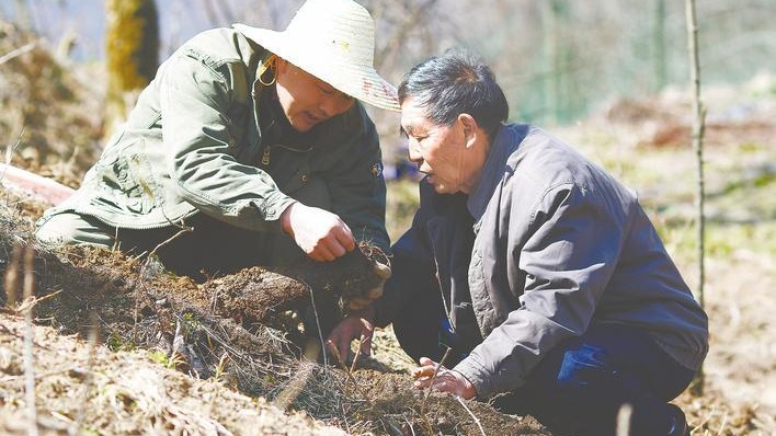 全省党员干部热议罗官章先进事迹