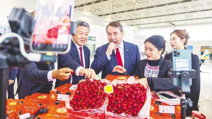 花湖机场成为智利水果进入中国的核心门户