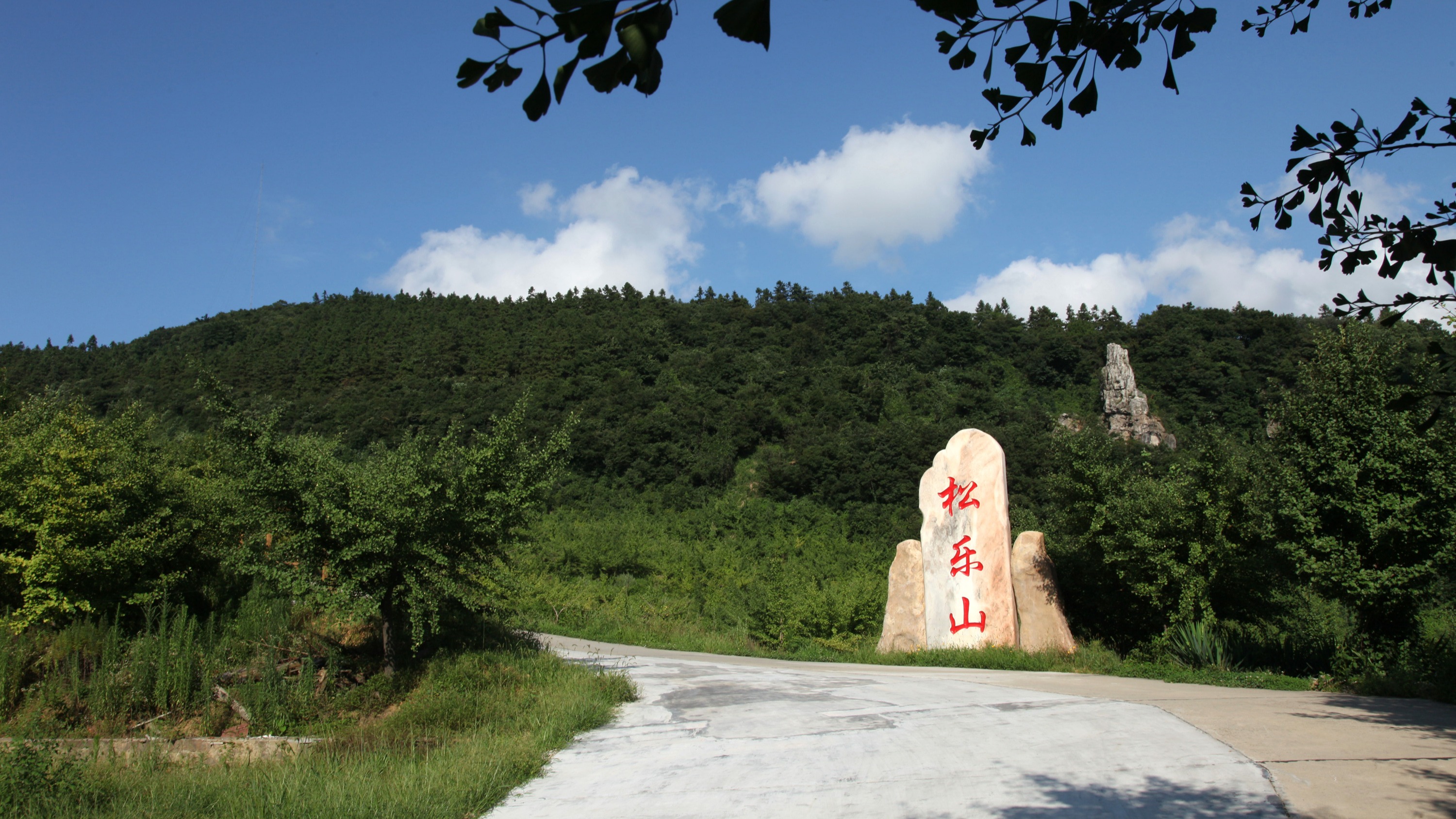 我省“鄂林碳票”首次交易成功