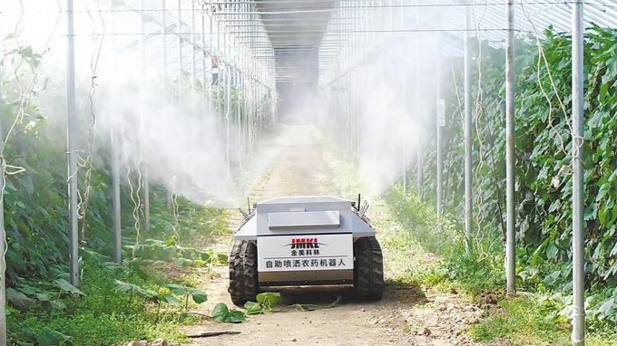 他把蔬菜大棚变成机器人试验场