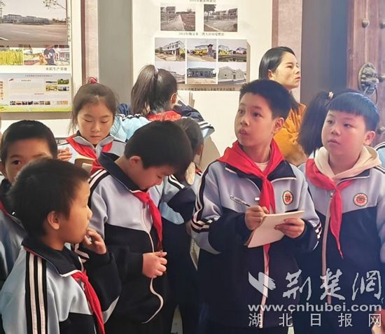 大冶市滨湖学校教学联盟