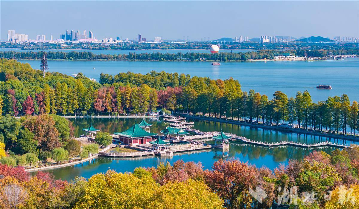宛如油畫！武漢東湖初冬色彩斑斕