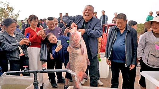 斧头湖开湖 一天捞鱼近10万斤