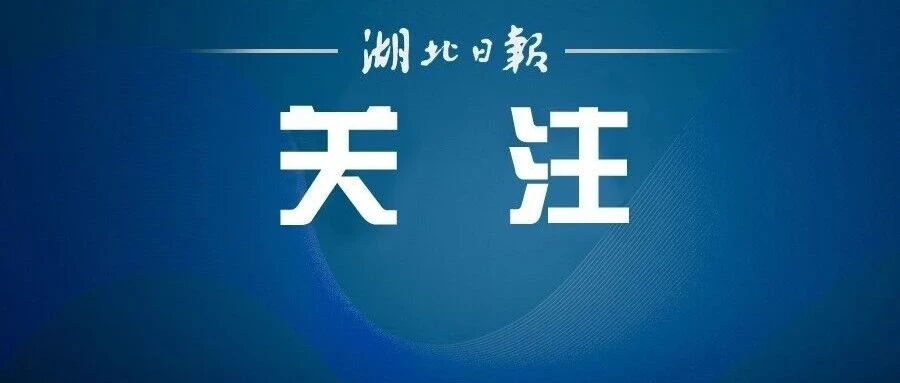 胡燕（湖北人）突遭意外，逆袭×3！