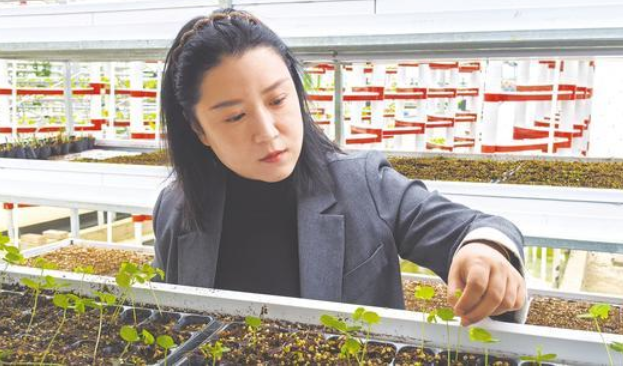 她打造星級民宿帶領村民共富