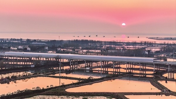 双柳长江大桥装上护鸟静音罩