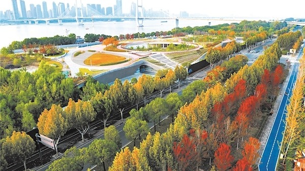 層林盡染 如詩如畫