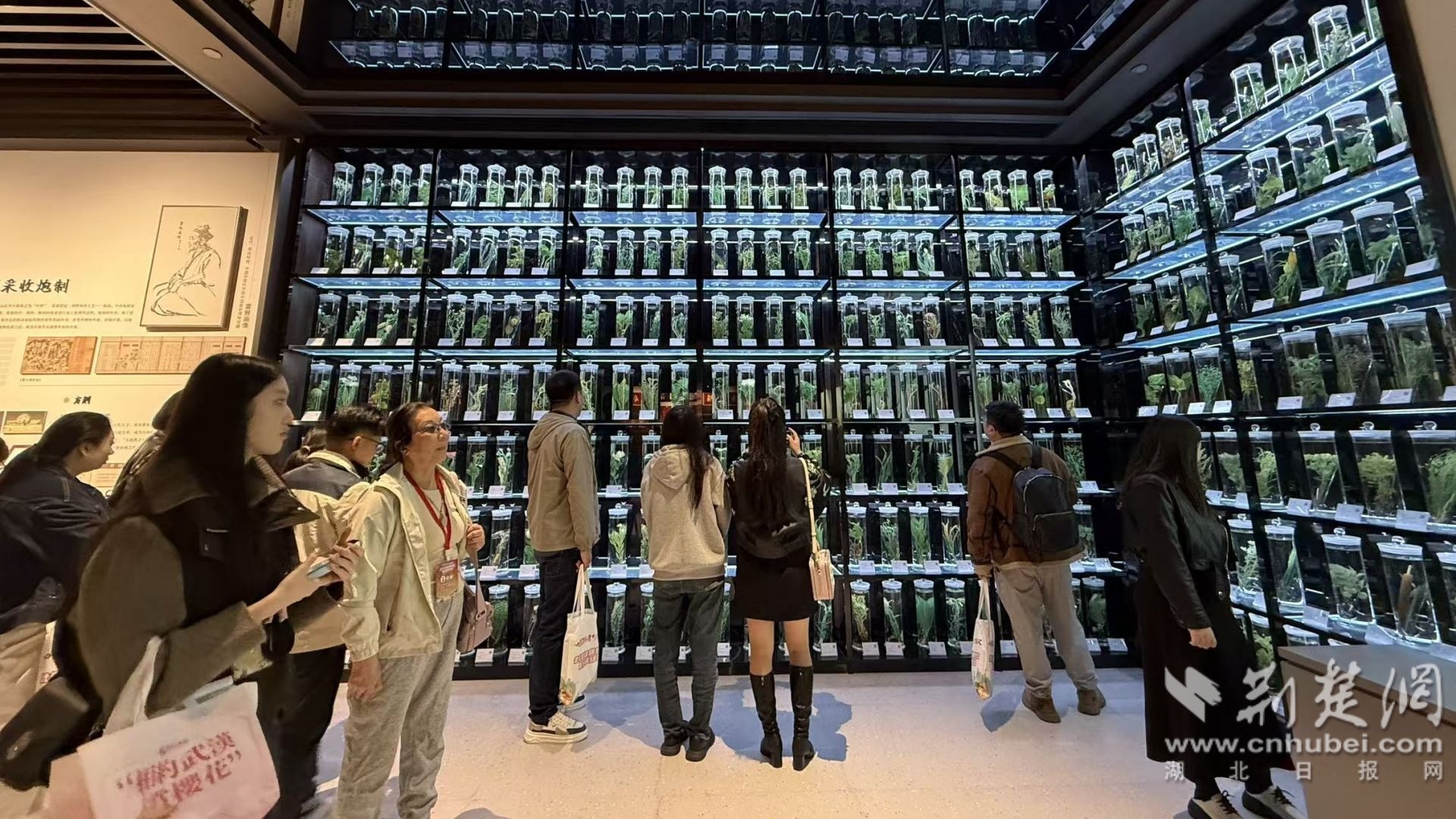 a3c40554987bc2482c114ec403e649cf_1920X1080_20251112204827