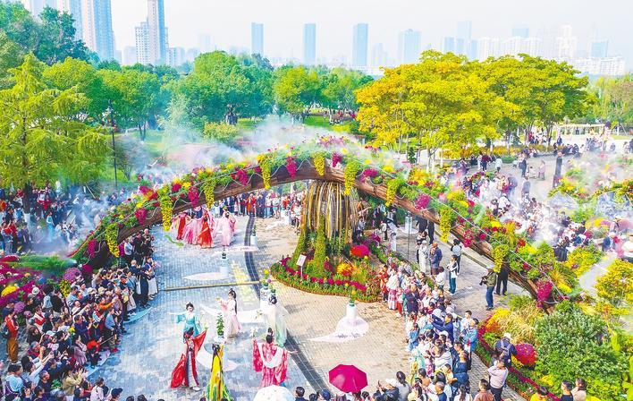 武汉金秋菊展打翻调色盘