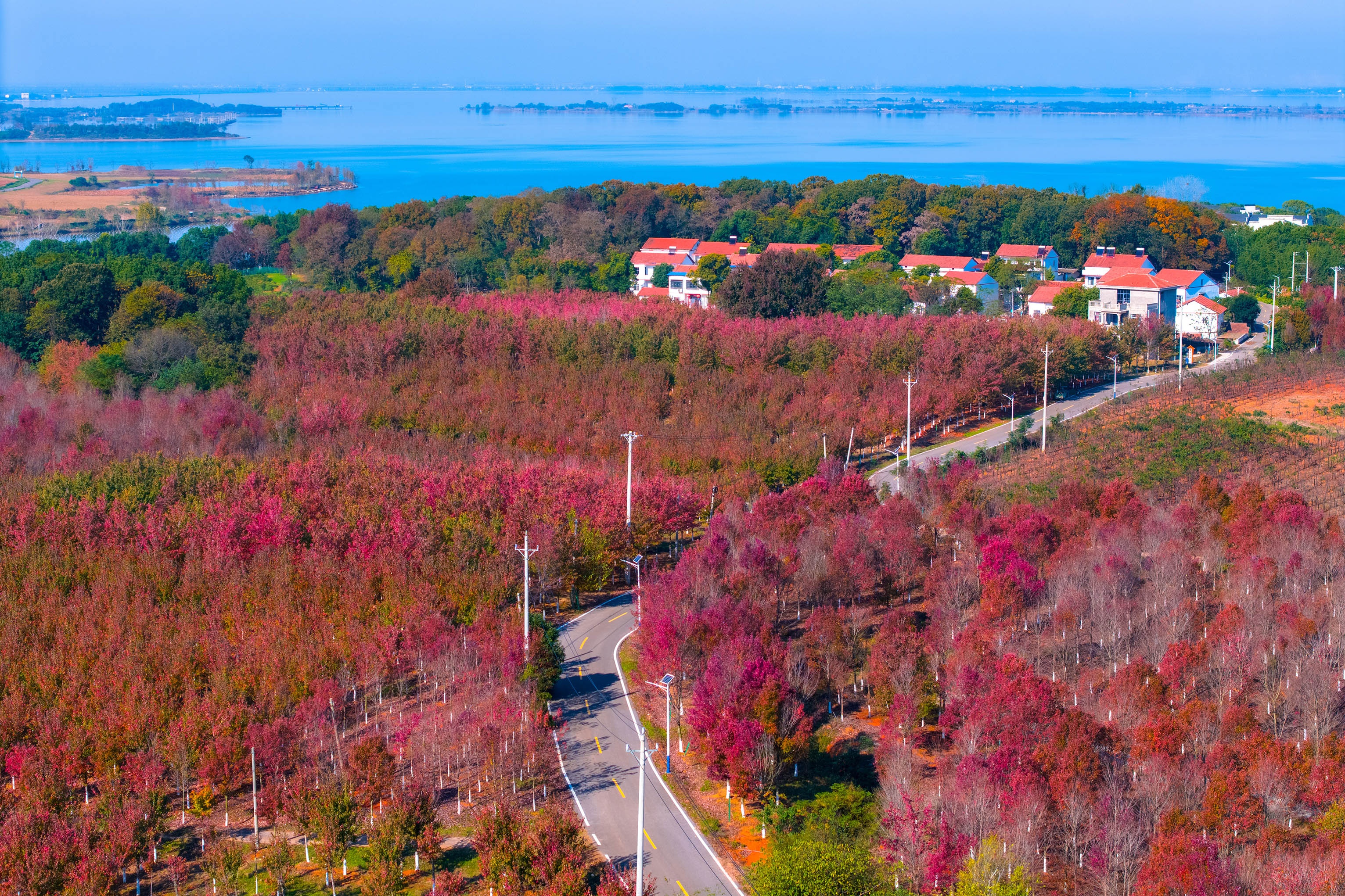 武漢這里，紅紅紅透啦！